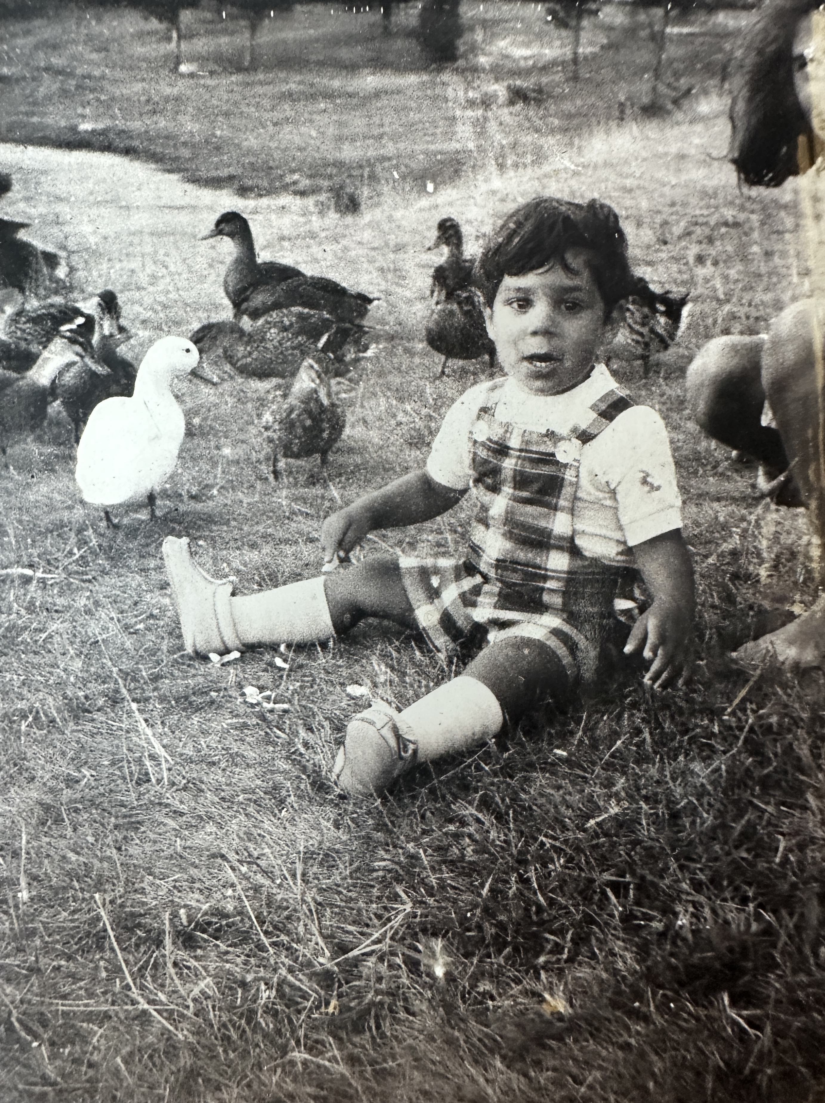 Child with ducks