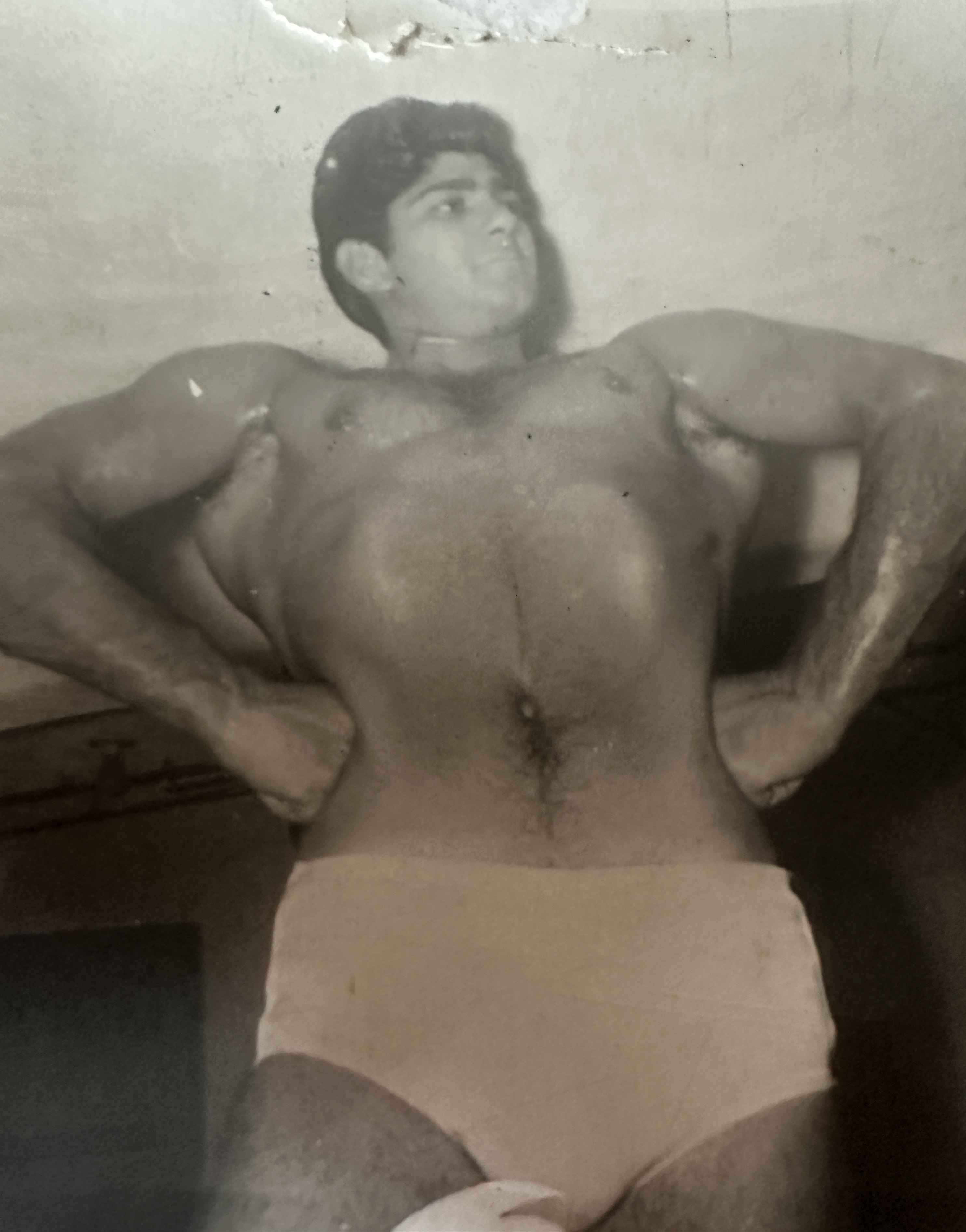 Bob bodybuilding